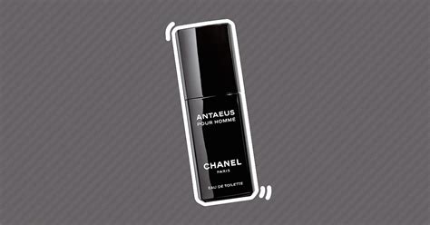 antaeus review|antaeus chanel pdf.